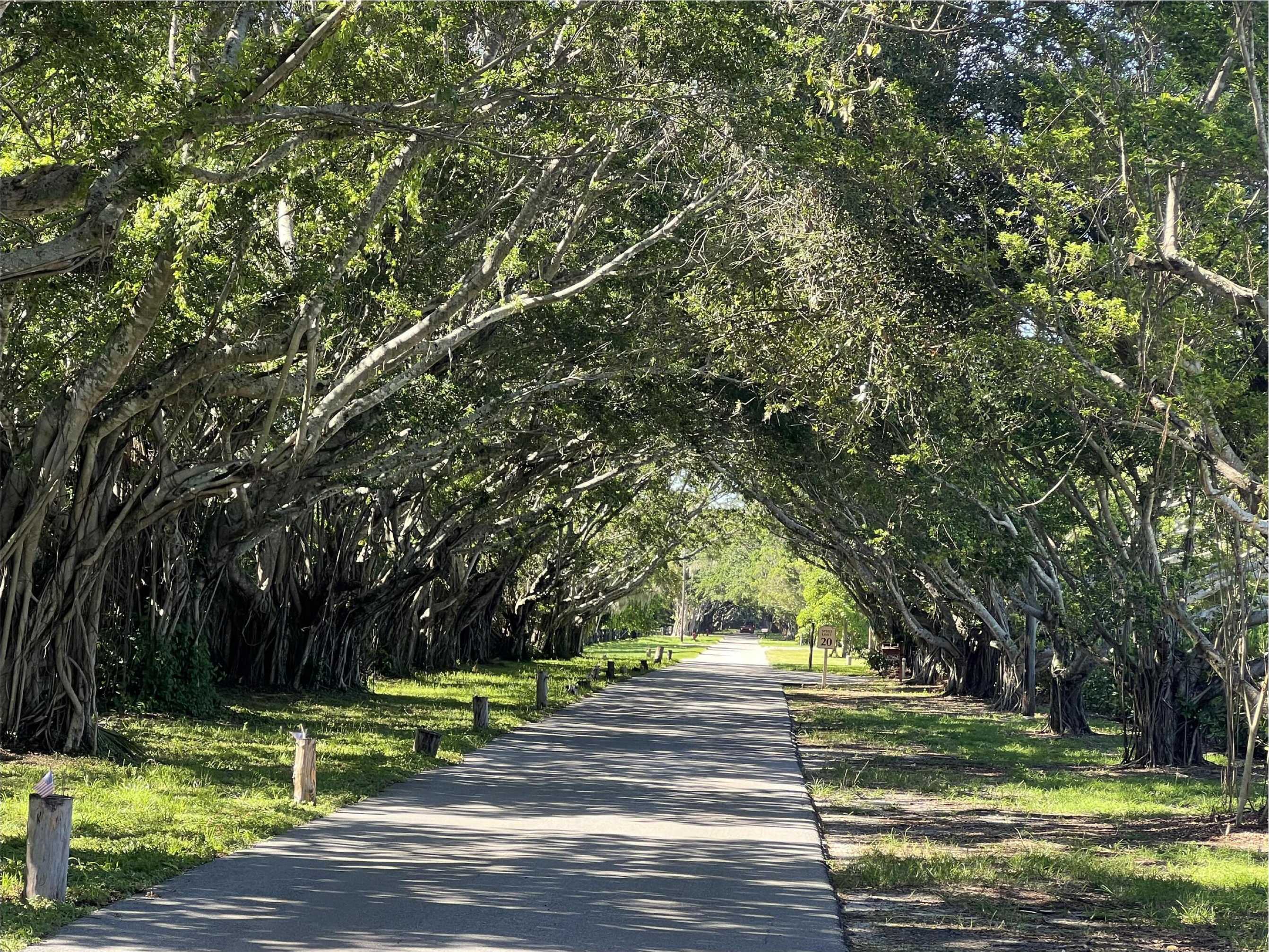 photo 3: 8480 Stage Coach Lane, Boca Raton FL 33496