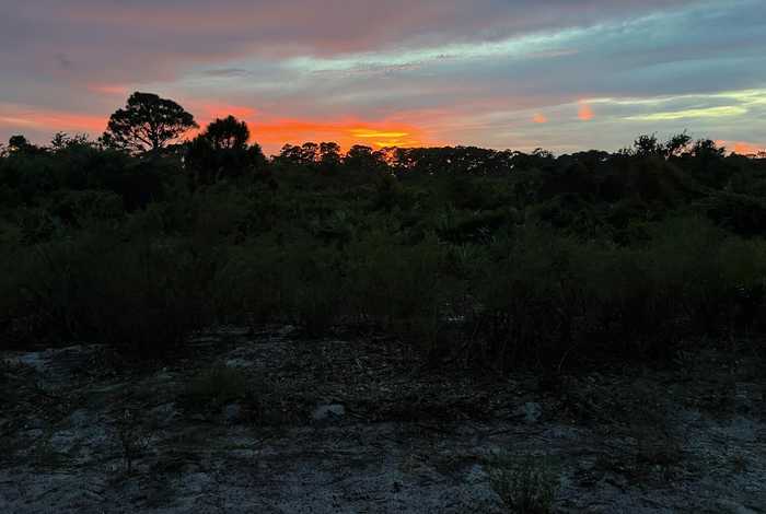 photo 48: 202 Sea Oats Drive Unit A, Juno Beach FL 33408