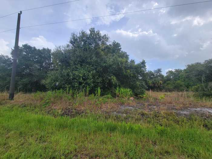 photo 2: 19036 310th Street, Okeechobee FL 34972