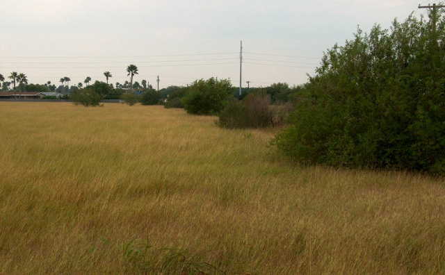 photo 2: 5.13 Acres Fm 509, San Benito TX 78586