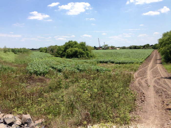 photo 10: 61.71 Acres Us Highway 281, Brownsville TX 78520