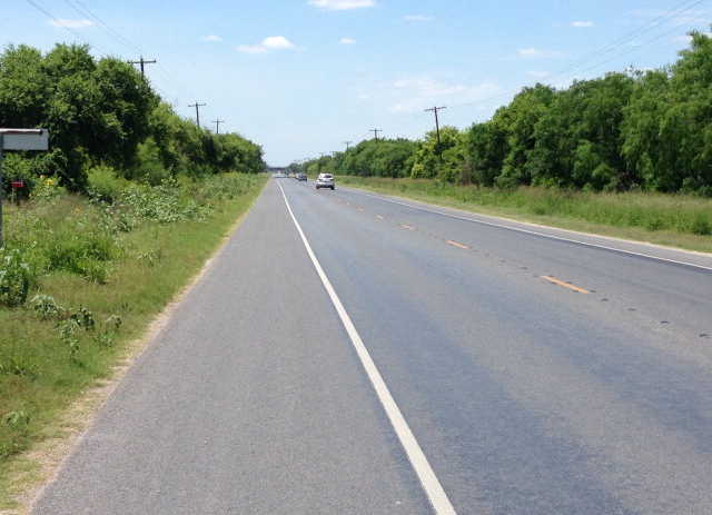 photo 3: 61.71 Acres Us Highway 281, Brownsville TX 78520