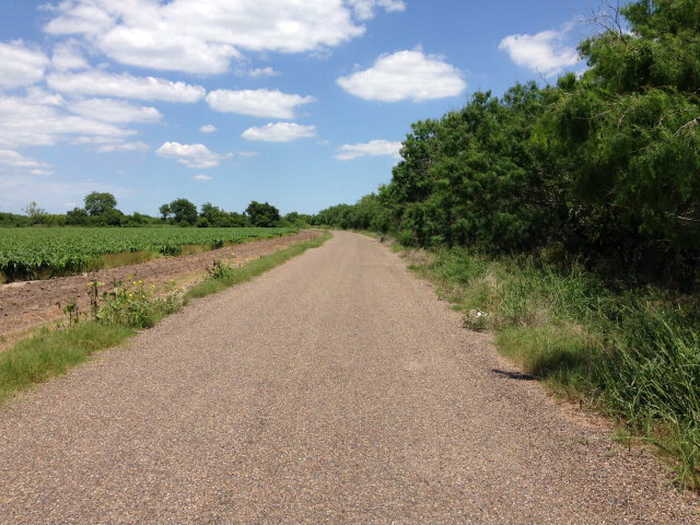 photo 10: 55 Acres Us Highway 281, Brownsville TX 78520