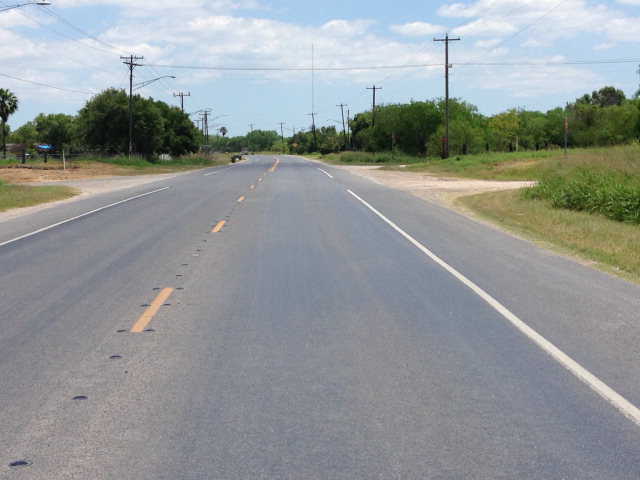 photo 3: 55 Acres Us Highway 281, Brownsville TX 78520