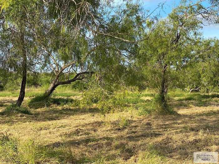 photo 4: Stagecoach Rd., Los Fresnos TX 78566