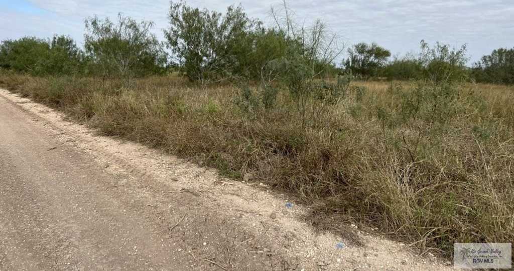 photo 3: Forto Land Rd., La Feria TX 78592