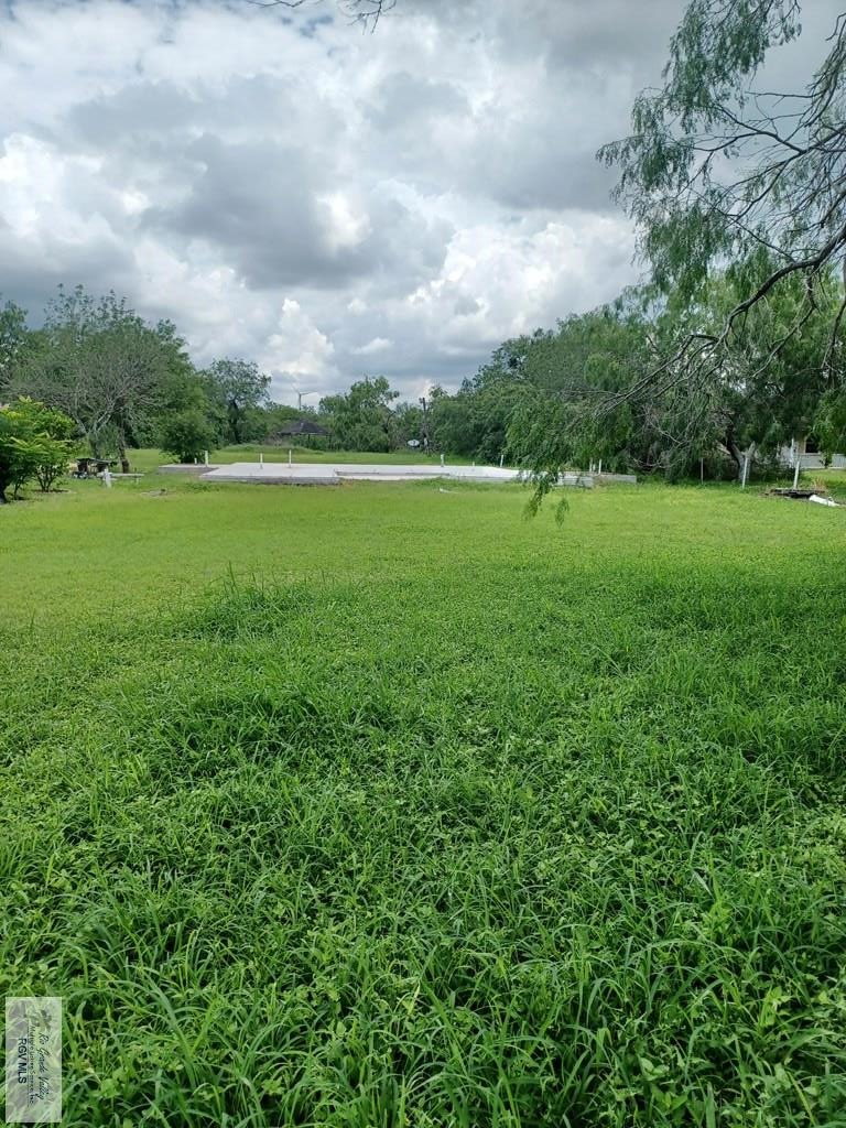 photo 3: 34104 Mesquite Bean Dr., San Benito TX 78586