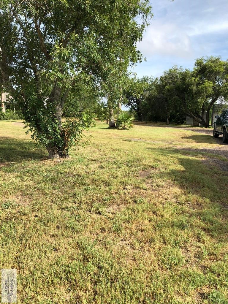 photo 1: 32959 Hwy 100, Los Fresnos TX 78566