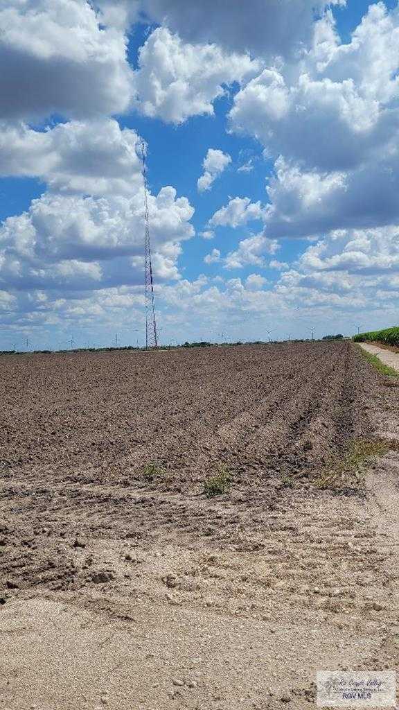 photo 1: 40 ACRES Bush Rd, Raymondville TX 78580