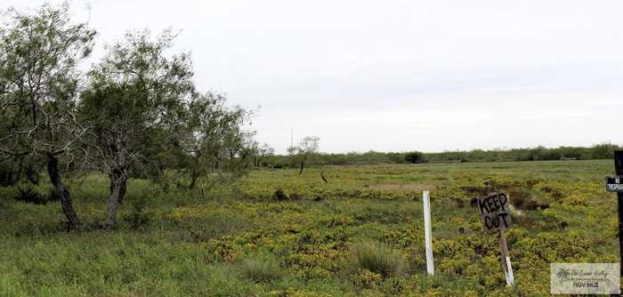 photo 1: Paredes Line Rd., Brownsville TX 78521