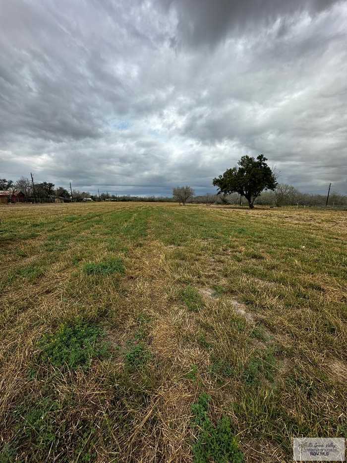 photo 5: 6 AC S Oscar Williams Rd., San Benito TX 78586