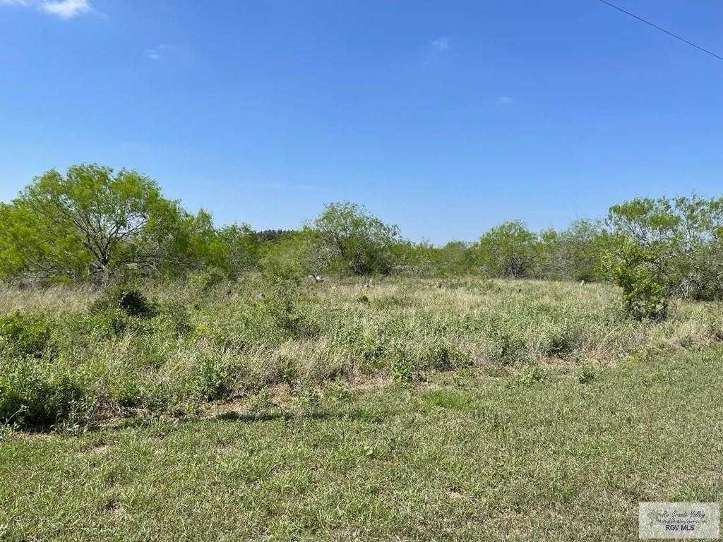 photo 3: 50.455 Acs Tract 43 Rd, Los Fresnos TX 78566