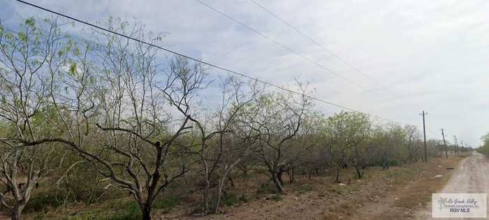 photo 2: Los Ranchos Rd., San Benito TX 78586