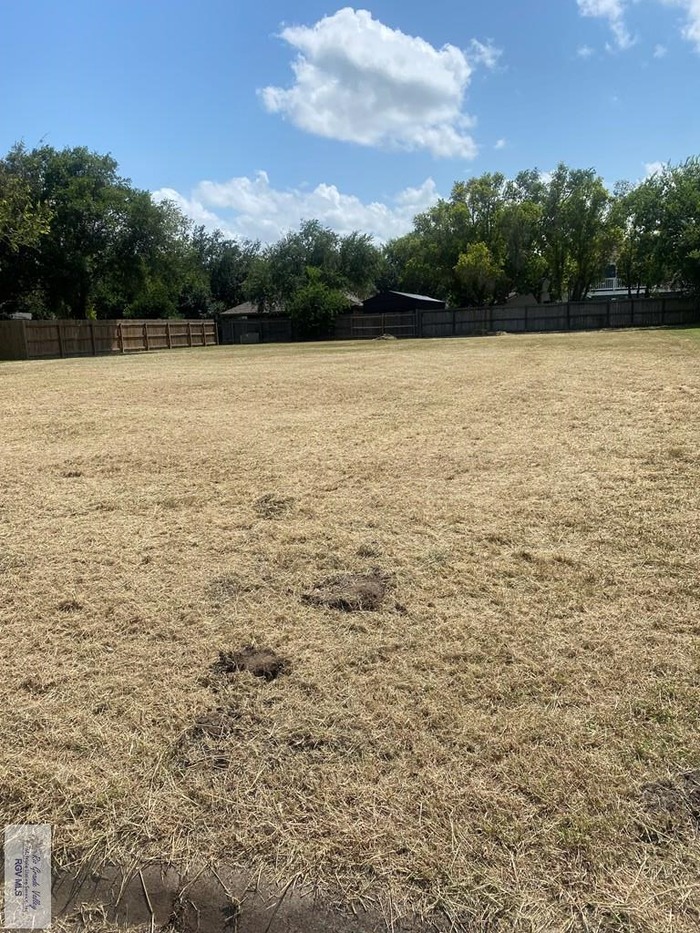 photo 2: 157 N Lakeview St, San Benito TX 78586