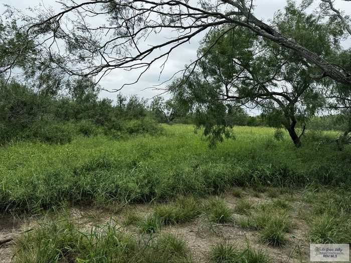 photo 2: 27675 County Road 233, San Benito TX 78586