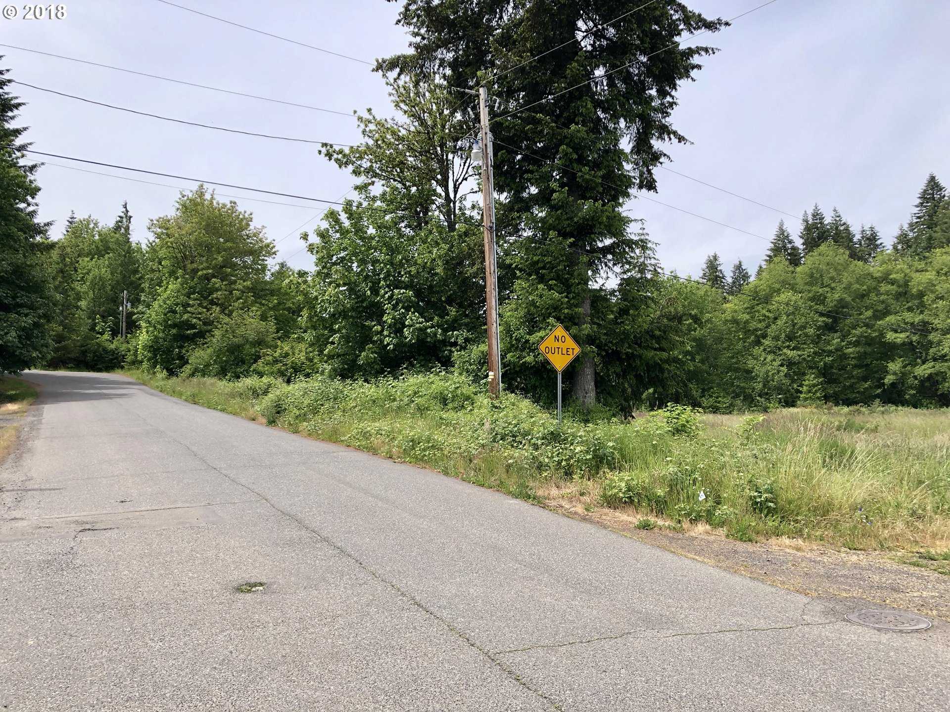 photo 3: Cougar ST, Vernonia OR 97064