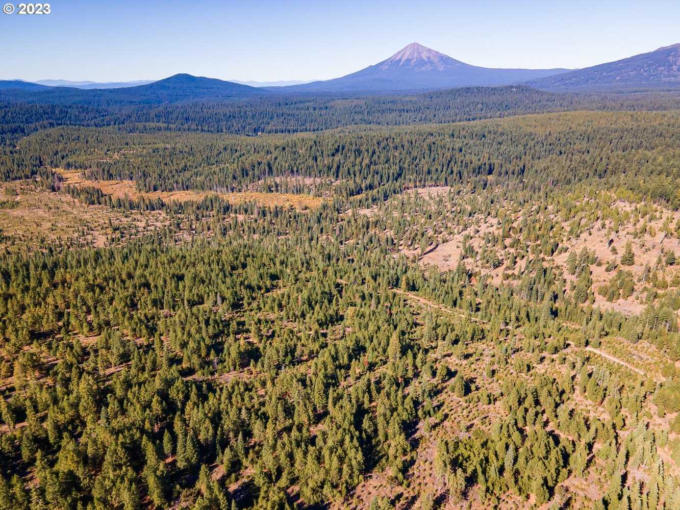 photo 3: DEAD INDIAN MEM RD, Ashland OR 97520