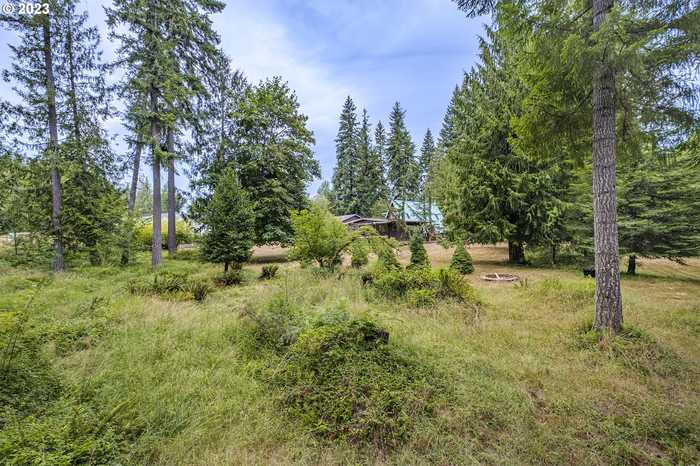 photo 32: 18674 MELLINGER RD, Vernonia OR 97064