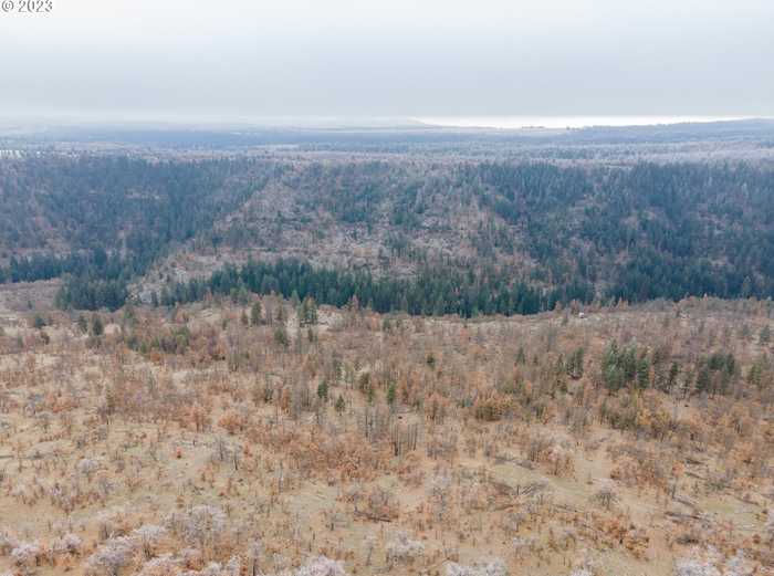 photo 2: Logging Gulch, Dufur OR 97021