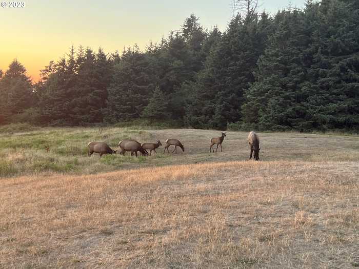 photo 37: 572 OLD CANNON BEACH RD, Cannon Beach OR 97110