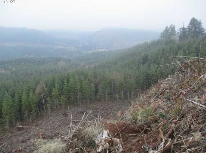 photo 12: SW Rock Creek RD, Sheridan OR 97378