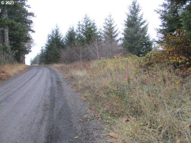 photo 3: SW Rock Creek RD, Sheridan OR 97378