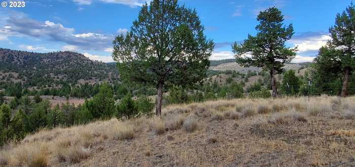 photo 4: SE Doubtful Dirt Rd., Prineville OR 97754