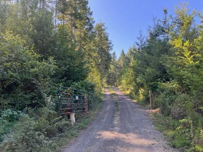 photo 15: 18601 SW INDIAN CREEK RD, Willamina OR 97396