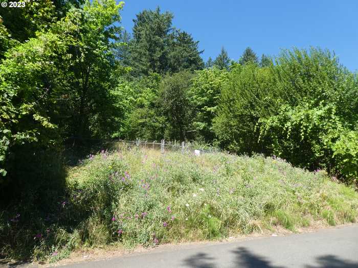 photo 3: SE 109th AVE, Portland OR 97266