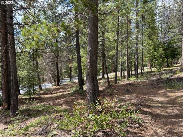 photo 3: 43 Clear Spring WAY, Crescent Lake OR 97733