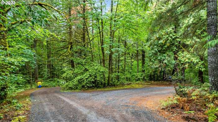 photo 20: NW Green Mountain Rd., Banks OR 97106