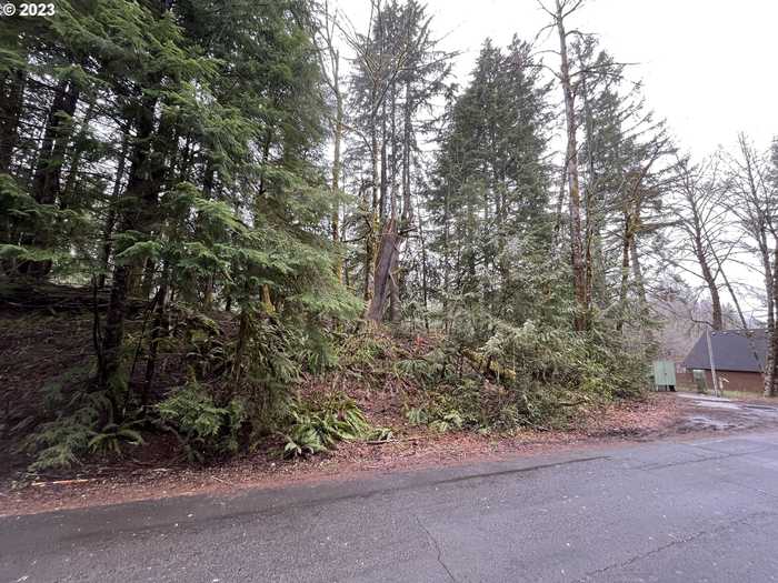 photo 1: 64680 E SANDY RIVER LN, Rhododendron OR 97049