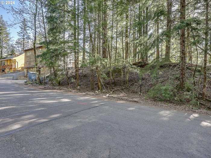 photo 2: 64680 E SANDY RIVER LN, Rhododendron OR 97049