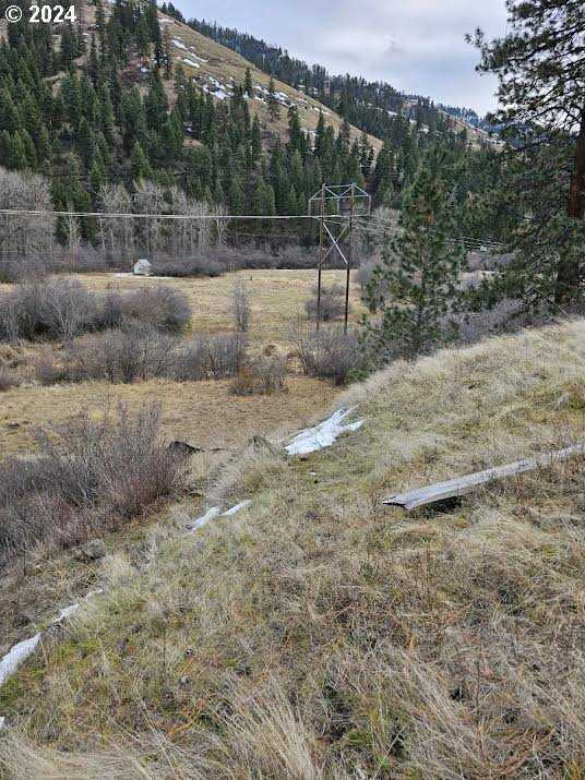 photo 3: Upper Imnaha River RD Unit 153, Imnaha OR 97842