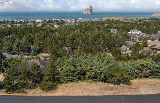 photo 1: Nestucca Ridge Rd Unit TL 50, Pacific City OR 97135