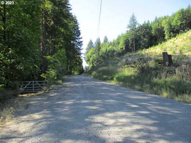 photo 2: NW High Heaven (Large) RD, Mc Minnville OR 97128