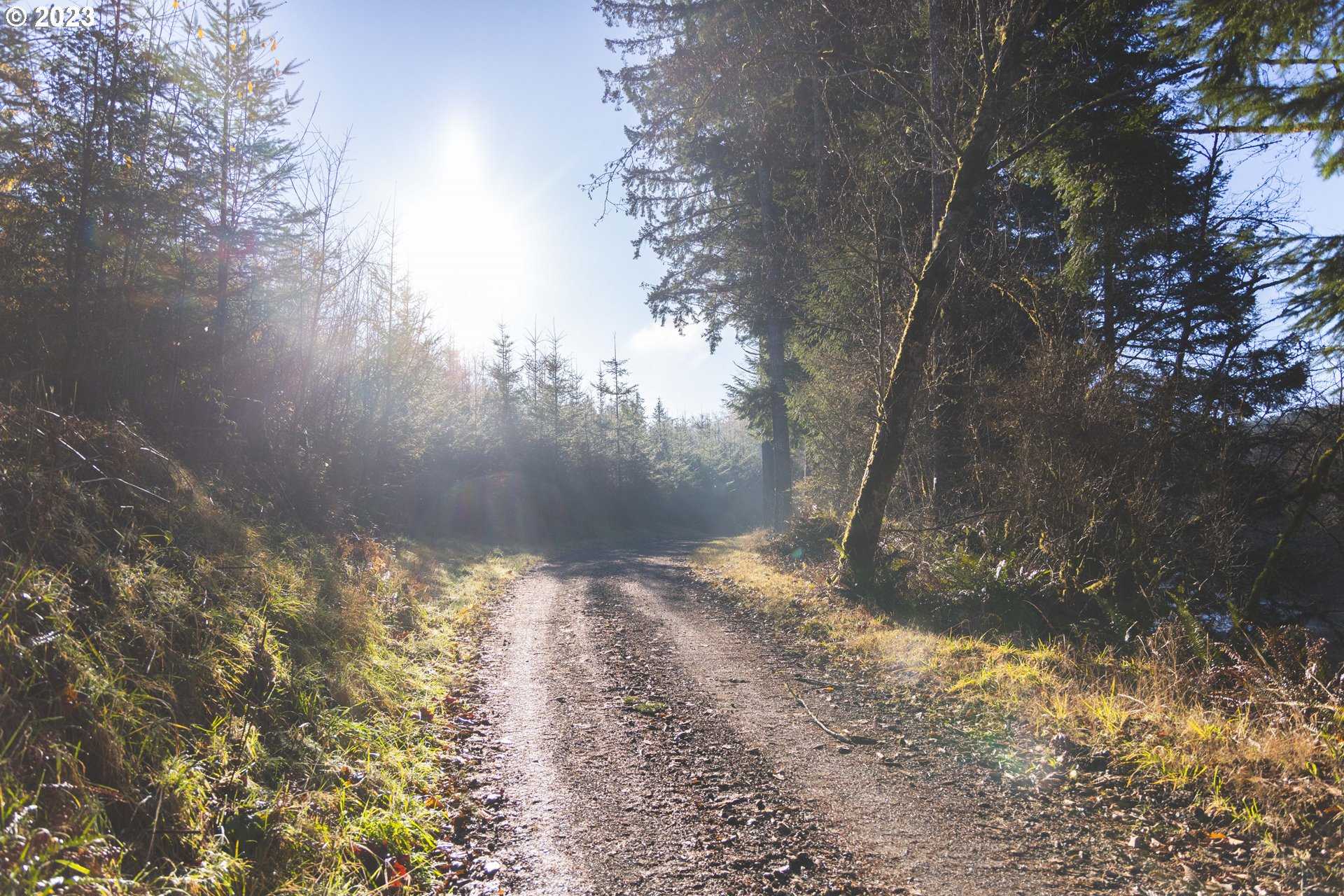 photo 2: Trapp Creek RD, Toledo OR 97391