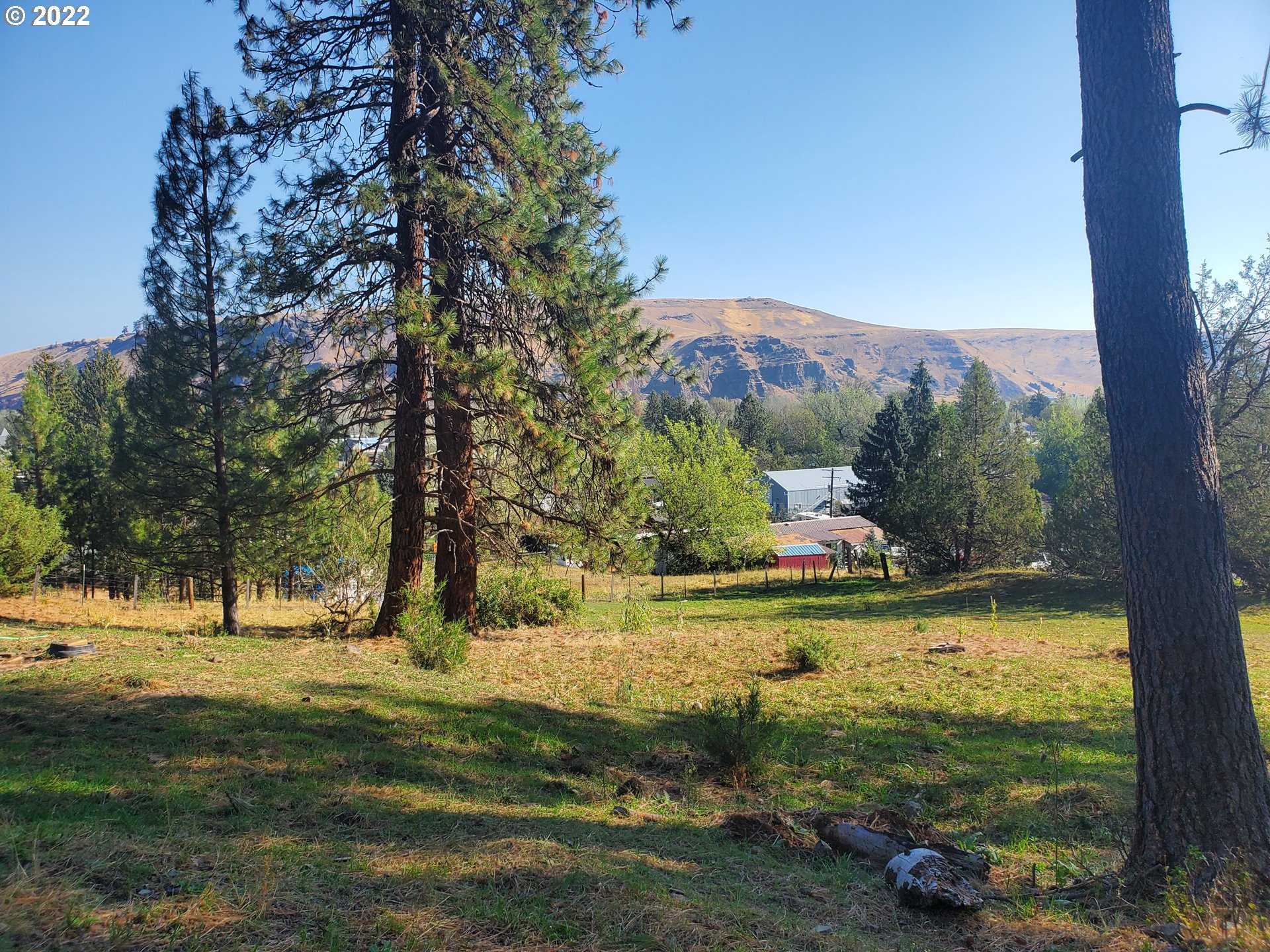 photo 1: 001 S Alder, Wallowa OR 97885