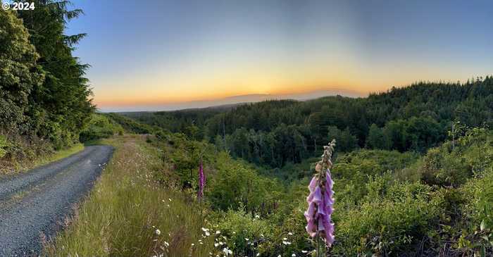 photo 19: Grassy Knob Lane, Port Orford OR 97465