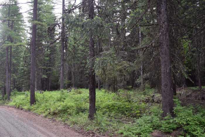 photo 1: Cold Spring Loop, Weston OR 97886