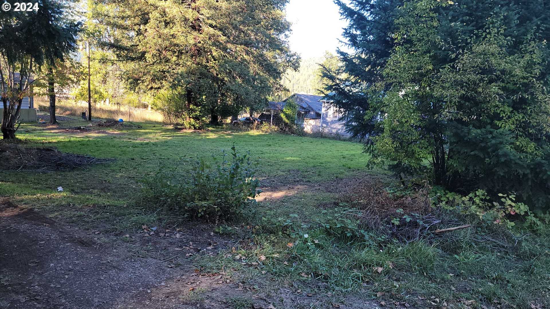 photo 2: 251 MAJOR DR, Glendale OR 97442