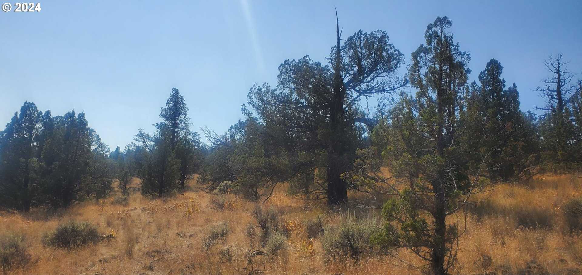 photo 2: NW PINECREST DR, Prineville OR 97754