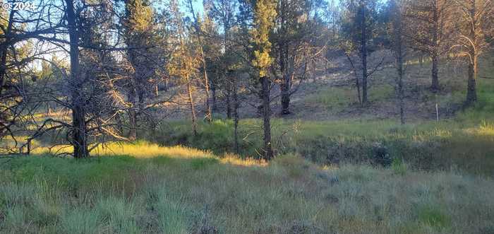 photo 10: NW HUSTON AVE, Prineville OR 97754