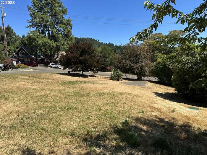 photo 11: 374 2ND ST, Elkton OR 97436