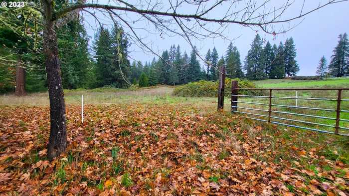 photo 2: 35283 PERKINS CREEK RD, Cottage Grove OR 97424