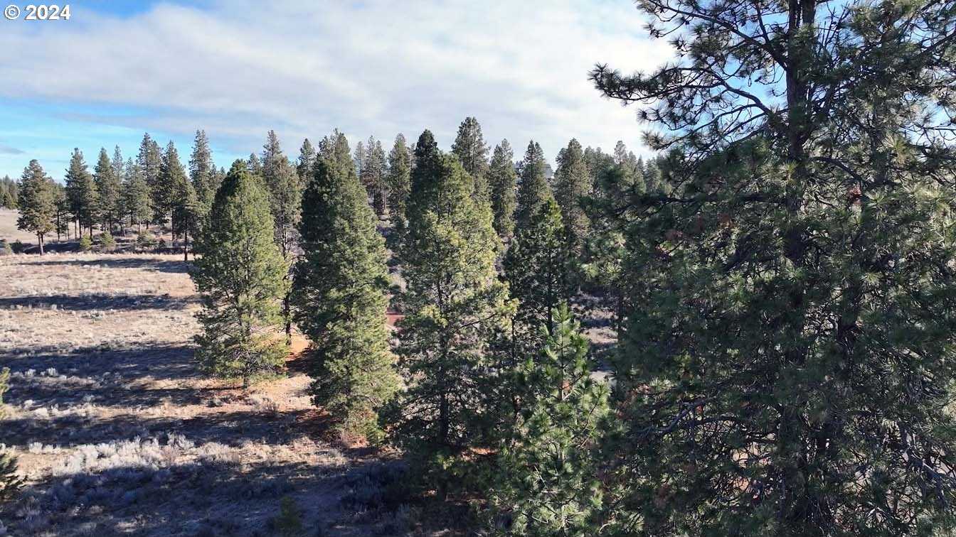 photo 2: Shoshoni WAY Unit Lot ~ 4, Chiloquin OR 97624