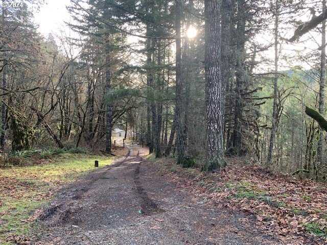 photo 1: 1424 CAVITT CREEK RD, Glide OR 97443