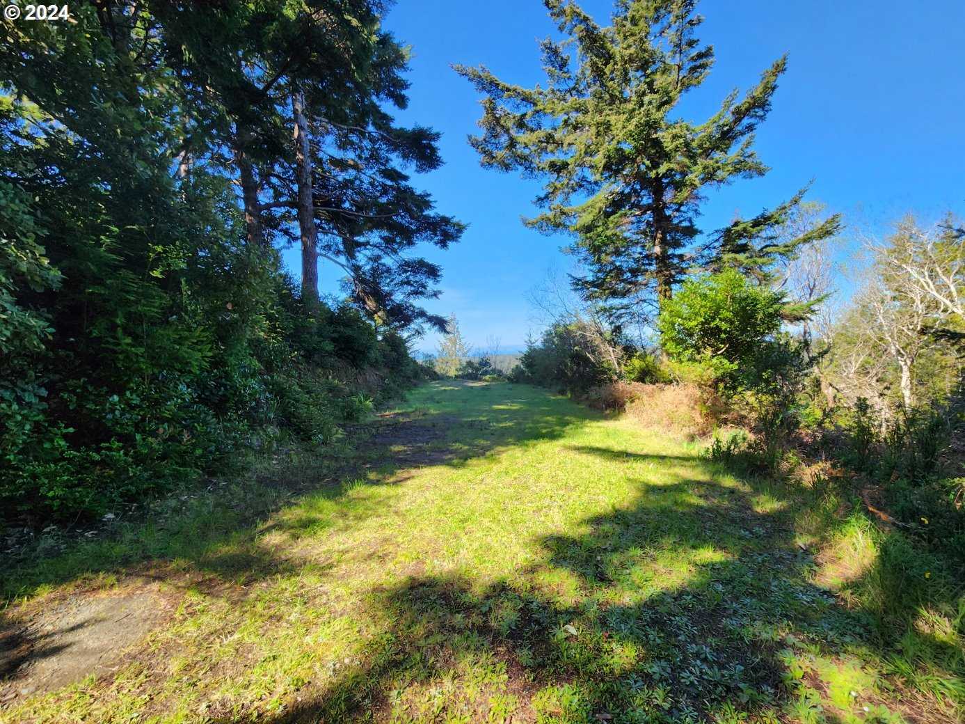 photo 3: LINN LN, Port Orford OR 97465