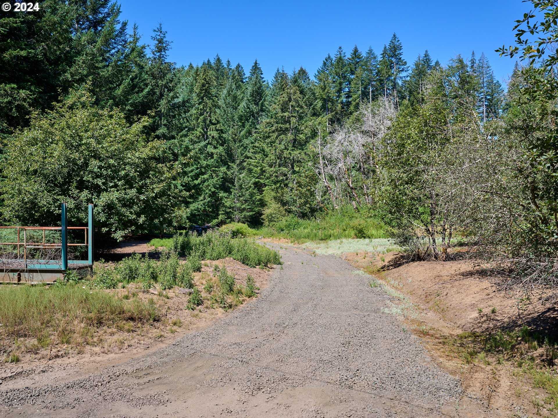 photo 3: Coast Creek RD, Willamina OR 97396