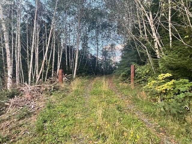 photo 1: LOt  300 Raghorn RD, Seaside OR 97138